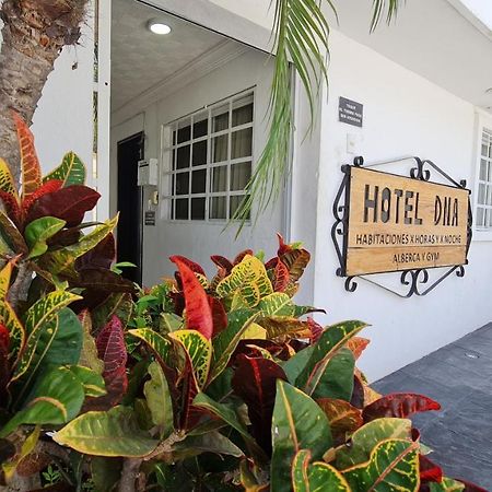 Dna Cancun Hotel Y Posada Ngoại thất bức ảnh